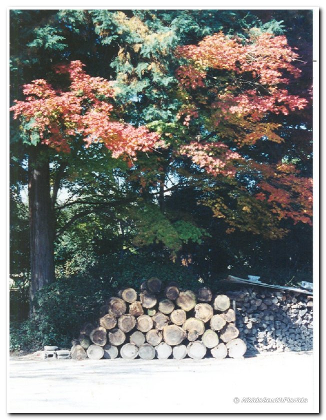 scan0004