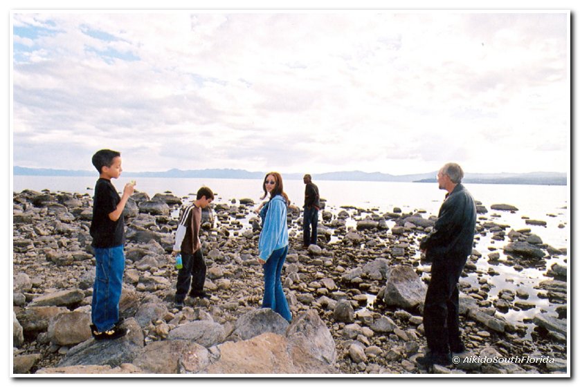 scan0008