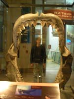 2009_Saito_Seminar-36